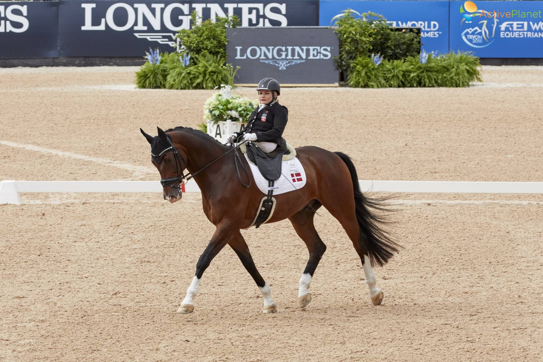 Paralympic Equestrian Training  